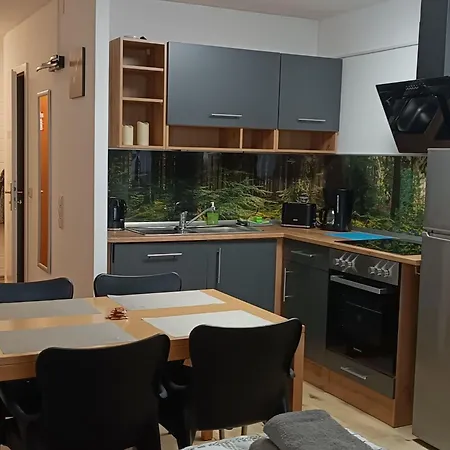 Bayernwald By Interhome Apartment Sankt Englmar